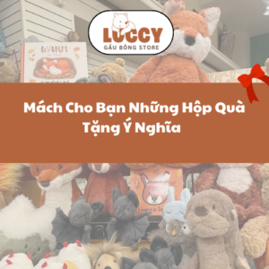 Ảnh đại diện hộp quà