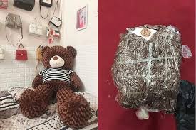 Hút chân không gấu bông